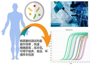 中國科大先研院與卓源健康共建人體微生物組研究聯合實驗室，聚焦前沿技術開發