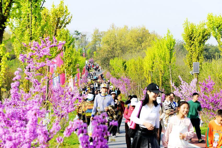 湖北老河口 一天4.5萬人次，共赴一場(chǎng)春日休閑觀光盛宴